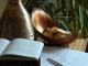 The Scribe of Time